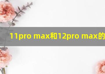 11pro max和12pro max的手机壳